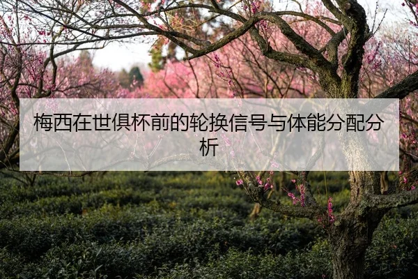 梅西在世俱杯前的轮换信号与体能分配分析