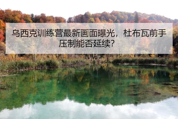 wu-xi-ke-xun-lian-ying-zui-xin-hua-mian-bao-guang-du-bu-wa-qian-shou-ya-zhi-neng-fou-yan-xu-2-560.jpg