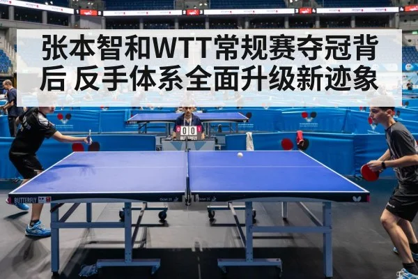 张本智和WTT常规赛夺冠背后 反手体系全面升级新迹象