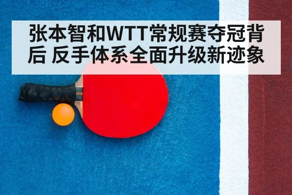 table tennis racket